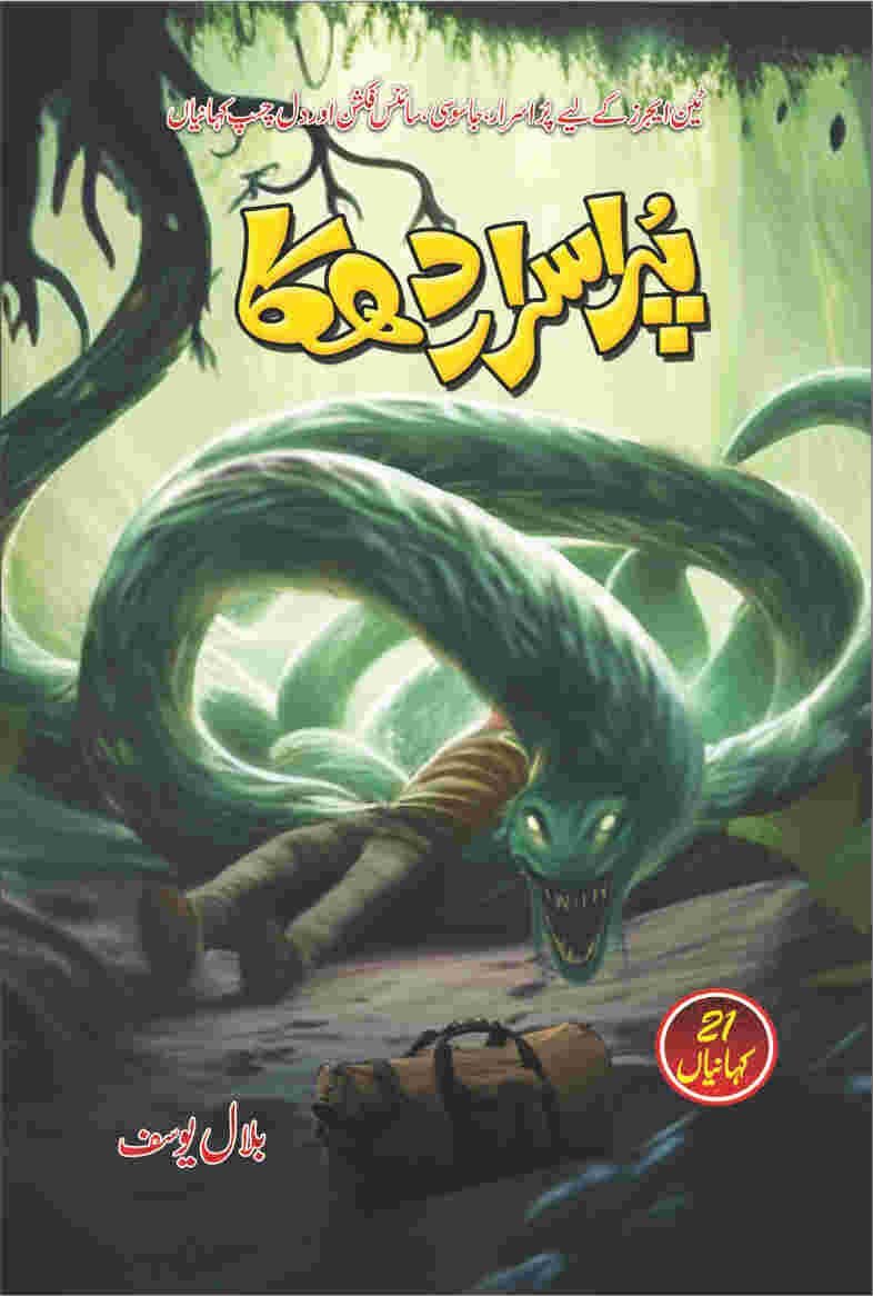 Purisrar Dhakka پراسرار دھکا by Bilal Yousaf - IMTBooks