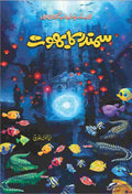 Samundar Ka Bhoot سمندر کا بھوت by Diya Khan Baloch - IMTBooks