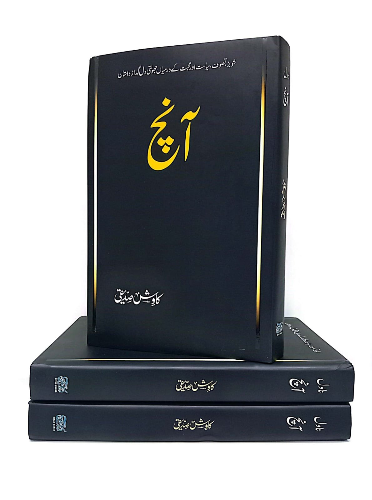 Aanch آنچ by Kawish Siddiqui - IMTBooks (2)