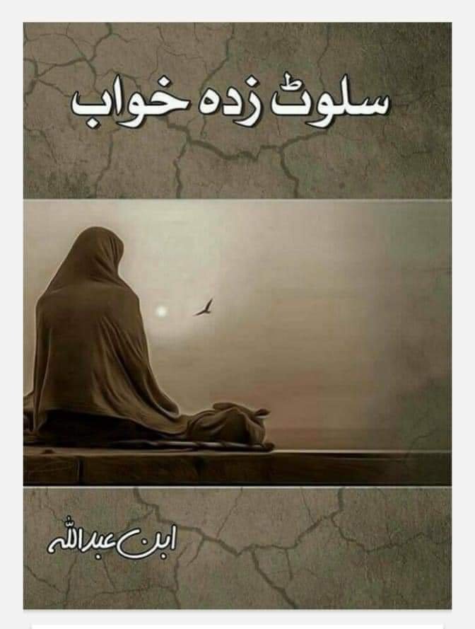 Salwat Zada Khawab سلوٹ زدہ خواب by Ibn E Abdullah - IMTBooks