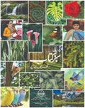 Bachon Ki Sabz Kitaab بچوں کی سبز کتاب by Dr. Ehtisham Anwar - IMTBooks