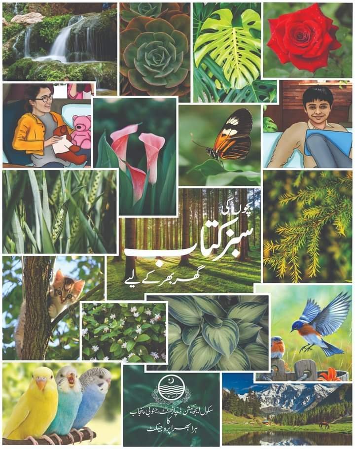 Bachon Ki Sabz Kitaab بچوں کی سبز کتاب by Dr. Ehtisham Anwar - IMTBooks