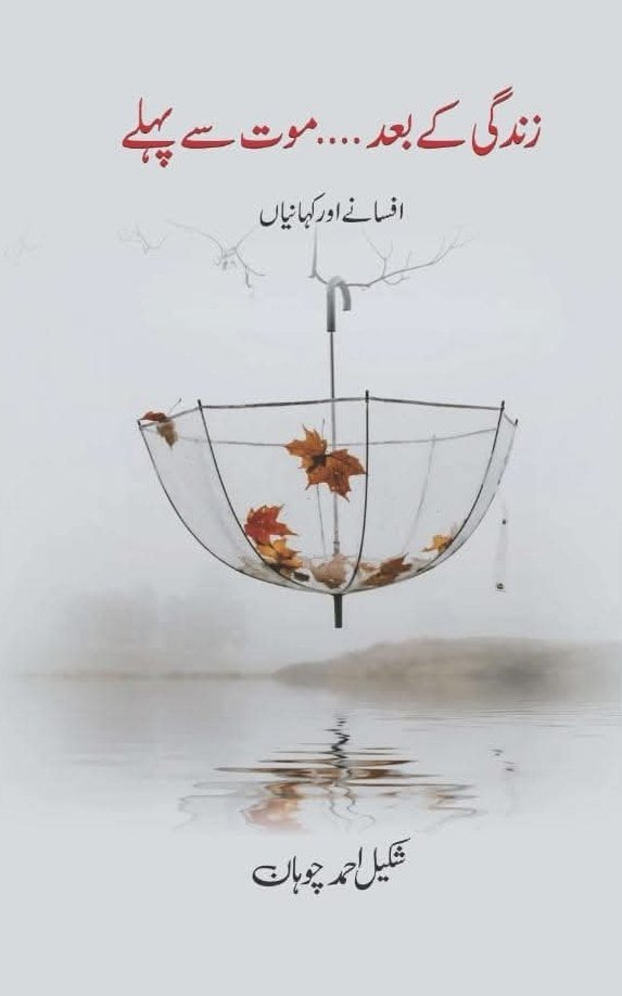Zindagi Kay Baad Maut Say Pehlay زندگی کے بعد موت سے پہلے by Shakeel Ahmed Chauhan - IMTBooks