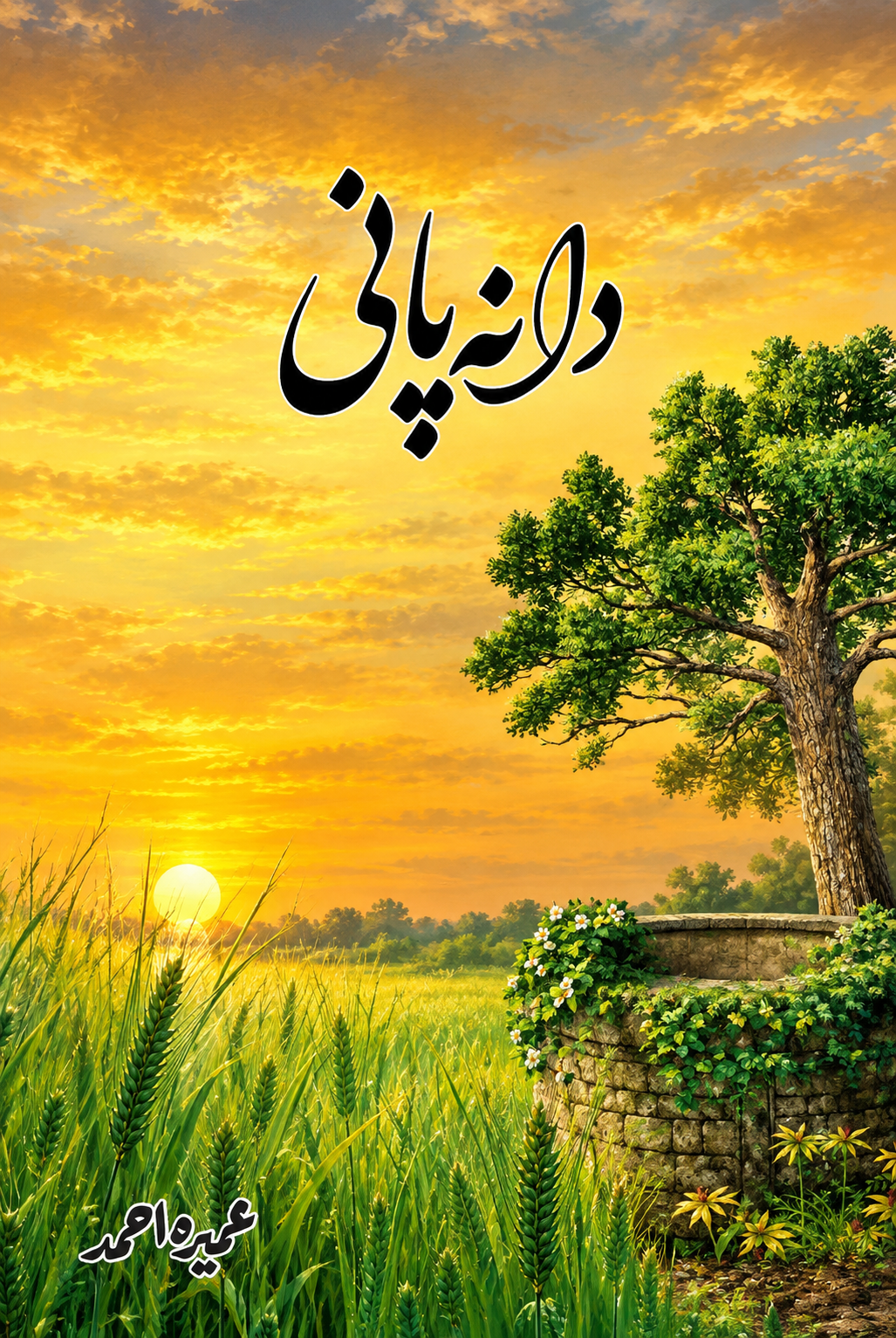 Daana Pani دانہ پانی by Umera Ahmed - IMTBooks